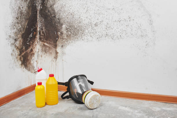 Mold Remediation for Rental Properties in Villas, NJ